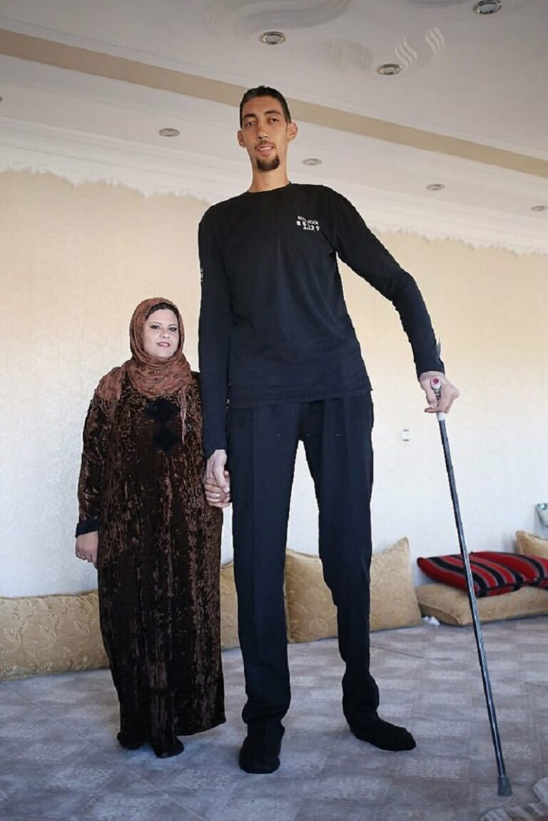 Who is the Tallest Person in the World?